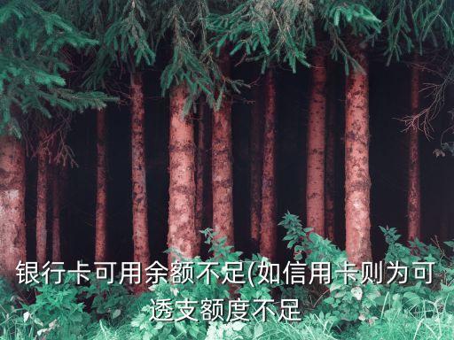 银行卡可用余额不足(如信用卡则为可透支额度不足