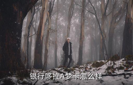 银行哆拉A梦卡怎么样