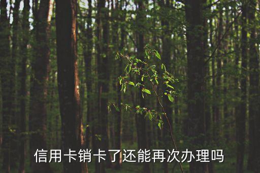 注销的信用卡能申请吗,注销信用卡后还能申请吗