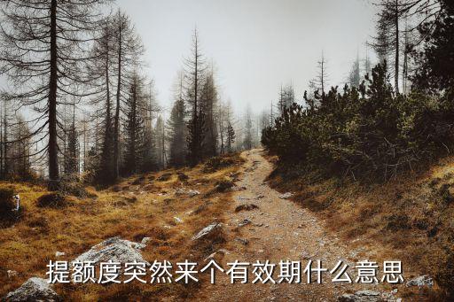 提额度突然来个有效期什么意思