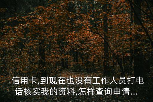 .信用卡,到现在也没有工作人员打电话核实我的资料,怎样查询申请...