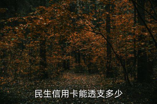 民生信用卡能透支多少