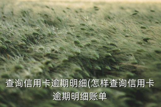 查询信用卡逾期明细(怎样查询信用卡逾期明细账单