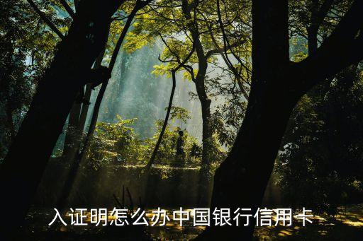 没有财力证明申请信用卡,如何办理信用卡财务证明