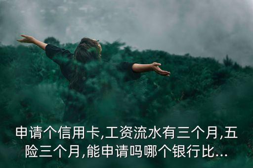 申请个信用卡,工资流水有三个月,五险三个月,能申请吗哪个银行比...