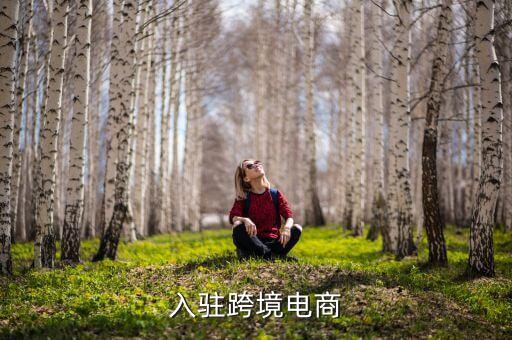 入驻跨境电商