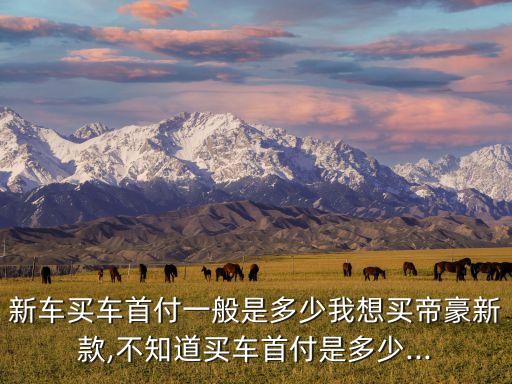 银行信用卡 买帝豪,买飞机票应该用哪家银行的信用卡
