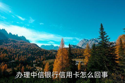 办理中信银行信用卡怎么回事