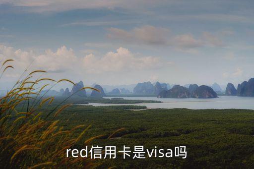 red信用卡是visa吗