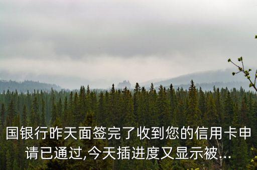 国银行昨天面签完了收到您的信用卡申请已通过,今天插进度又显示被...
