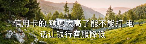  信用卡的 额度太高了能不能打 电话让银行客服降低