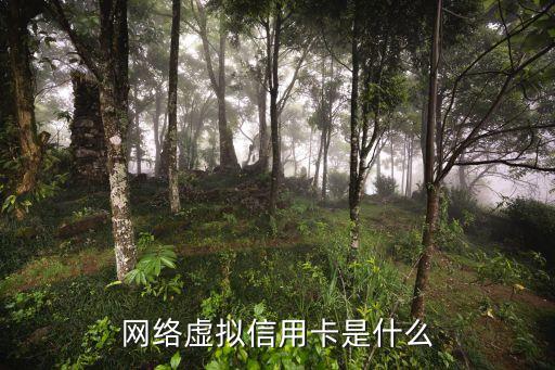 网络虚拟信用卡是什么