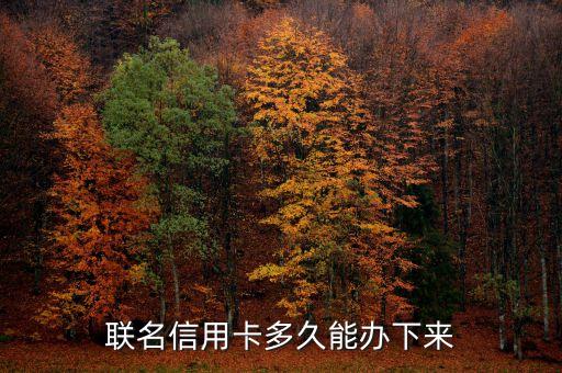 联名信用卡多久能办下来
