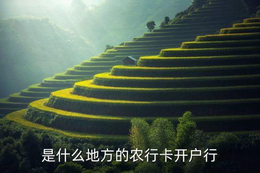是什么地方的农行卡开户行