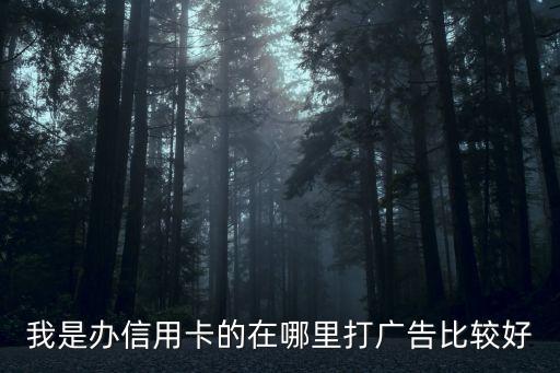 我是办信用卡的在哪里打广告比较好