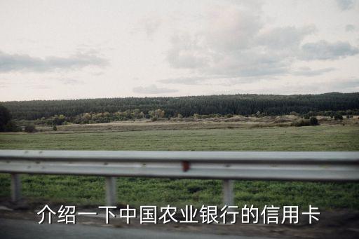 介绍一下中国农业银行的信用卡
