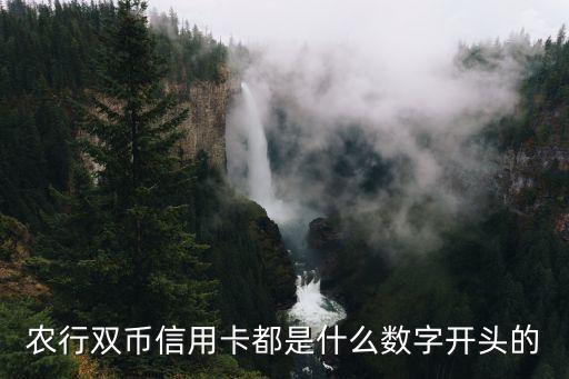 农行双币信用卡都是什么数字开头的