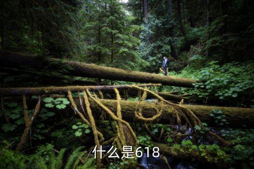 什么是618信用卡红包，什么是618