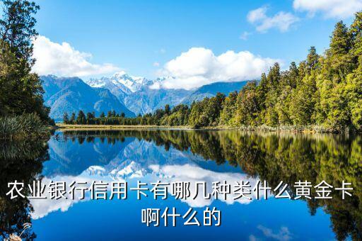 燃梦信用卡分期,信用卡免息分期