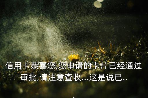 建行信用卡已受理申请表,信用卡办理进度显示申请已受理