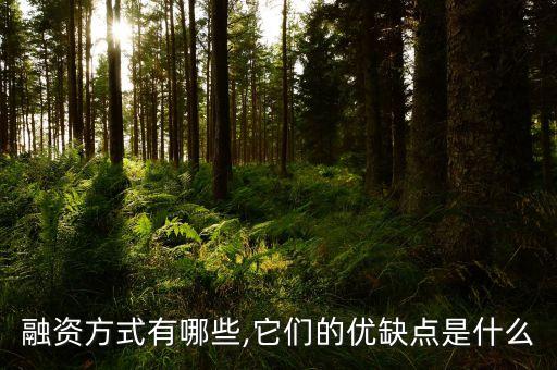 商业信用融资的影响因素,什么是商业信用融资
