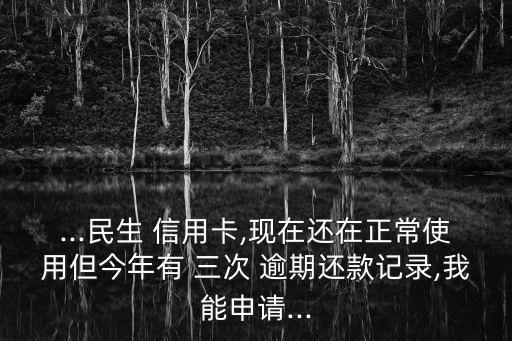 ...民生 信用卡,现在还在正常使用但今年有 三次 逾期还款记录,我能申请...