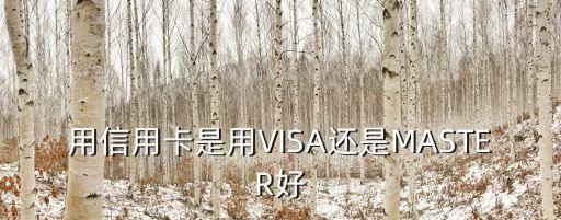 用信用卡是用VISA还是MASTER好