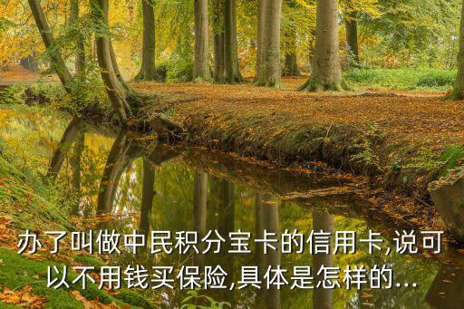 办了叫做中民积分宝卡的信用卡,说可以不用钱买保险,具体是怎样的...