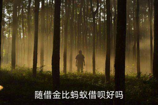 随借金比蚂蚁借呗好吗