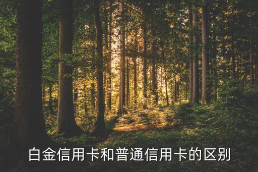 白金信用卡和普通信用卡的区别