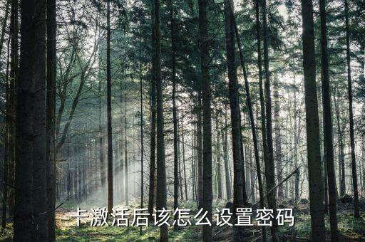 怎样设置银行信用卡密码,长沙银行信用卡密码设置