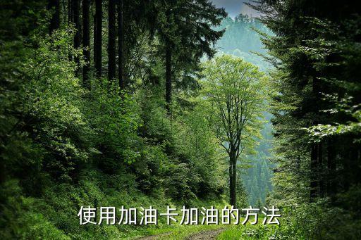使用加油卡加油的方法