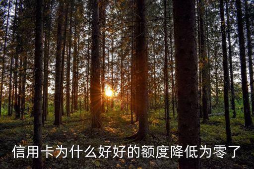 信用卡为什么好好的额度降低为零了