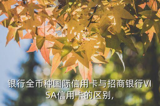 银行全币种国际信用卡与招商银行VISA信用卡的区别,
