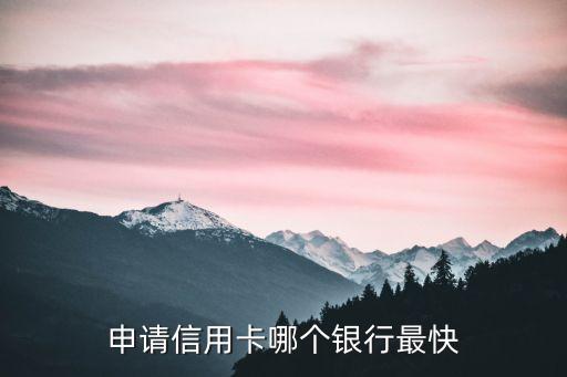 信用卡什么银行最快，申请信用卡哪个银行最快