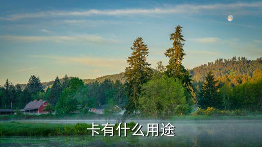 卡有什么用途