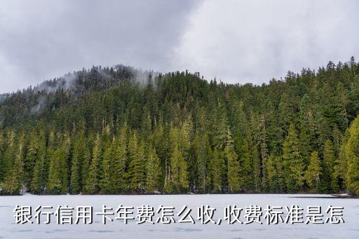 银行信用卡年费怎么收,收费标准是怎