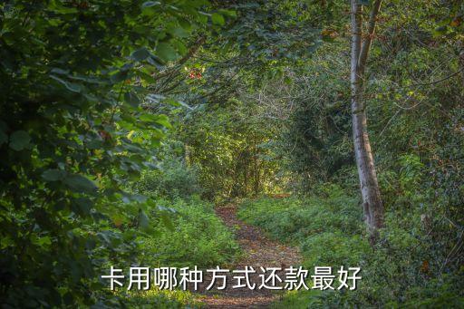 早上怎么刷信用卡还款最好,怎么用信用卡还款