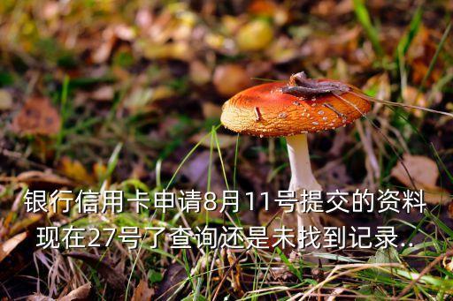 民生信用卡未查询到申请记录,怎么看申请民生信用卡后的进度