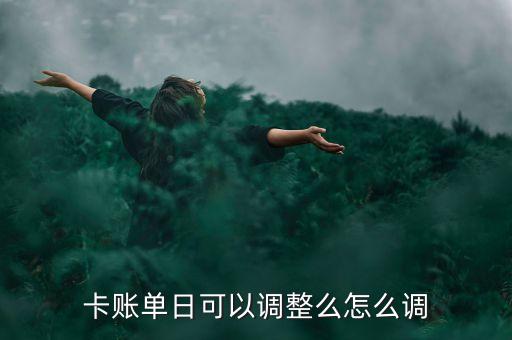 卡账单日可以调整么怎么调