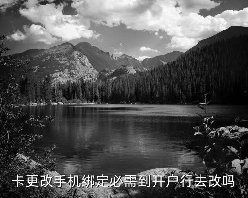 卡更改手机绑定必需到开户行去改吗