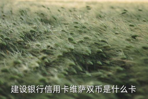 建设银行信用卡维萨双币是什么卡