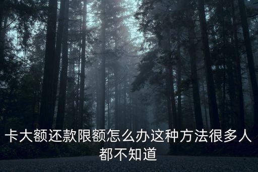 卡大额还款限额怎么办这种方法很多人都不知道