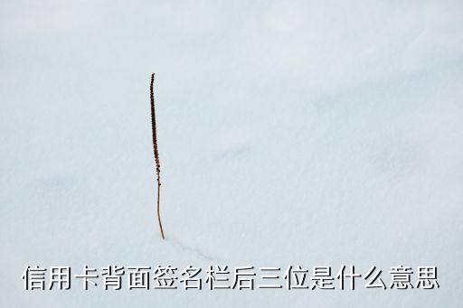信用卡背面签名栏后三位是什么意思