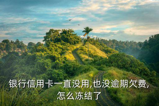 银行信用卡一直没用,也没逾期欠费,怎么冻结了