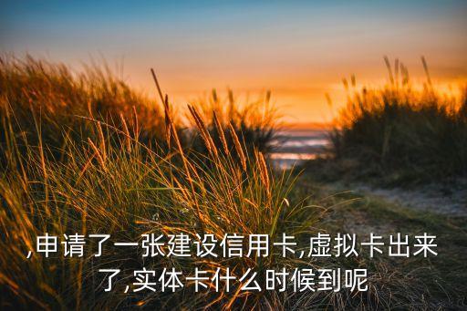 ,申请了一张建设信用卡,虚拟卡出来了,实体卡什么时候到呢