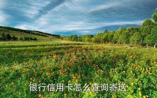 银行信用卡怎么查询寄送