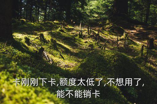 卡刚刚下卡,额度太低了,不想用了,能不能销卡
