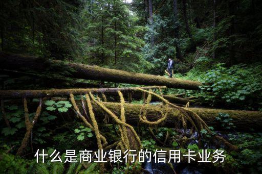 什么是商业银行的信用卡业务