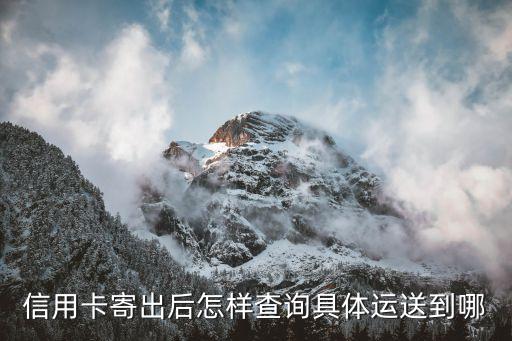 信用卡寄出后怎样查询具体运送到哪